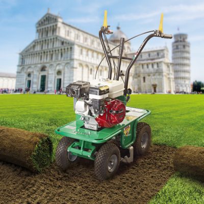 AC390_cortatepes_1