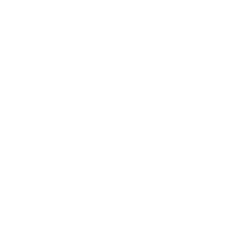 Escarificador