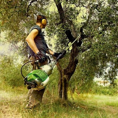 vareador_active1